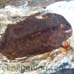 IMG_2317061012