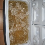 IMG_5604061012