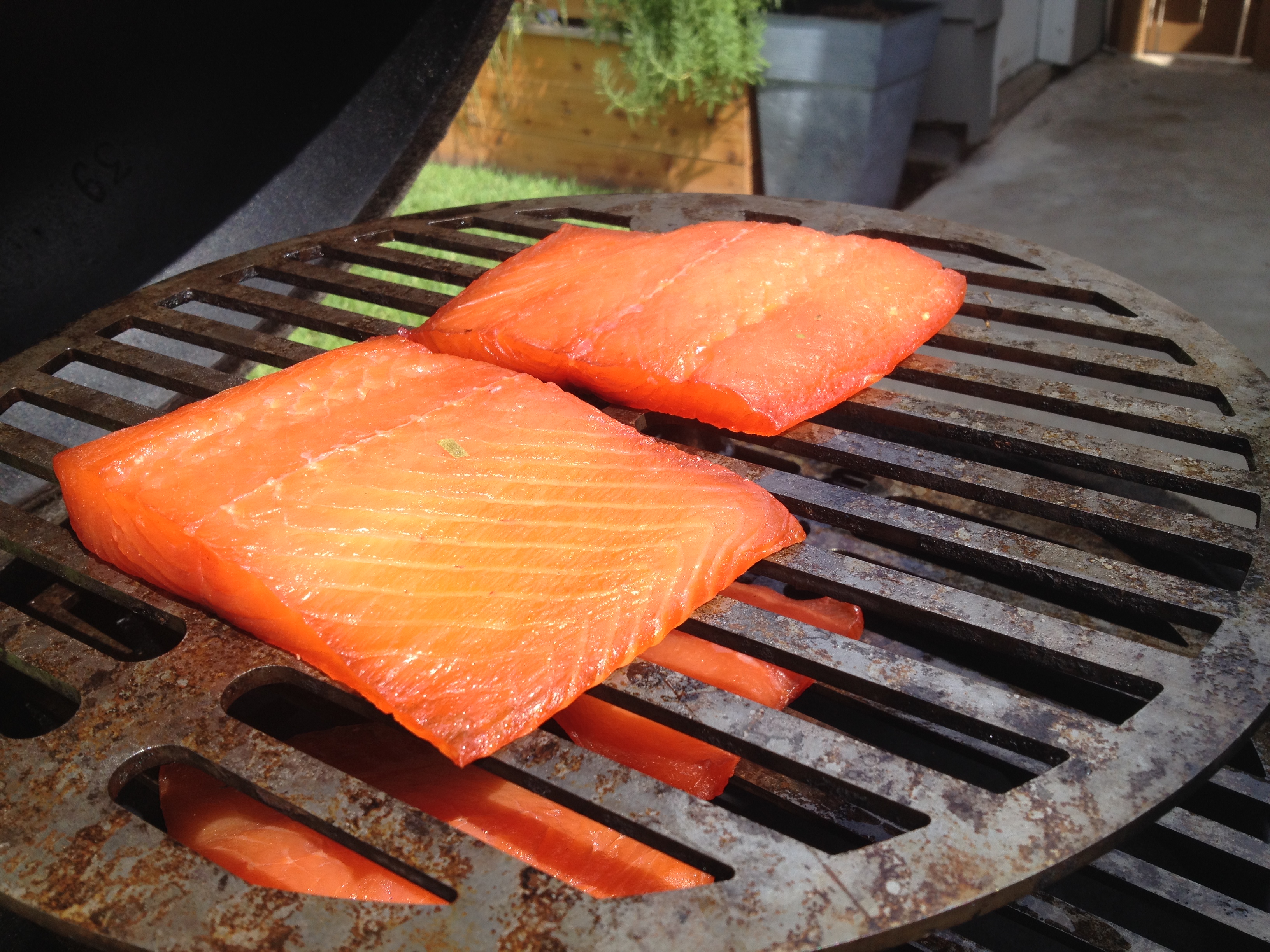 Smoking Salmon on the BGE | Big Green Egg Blog